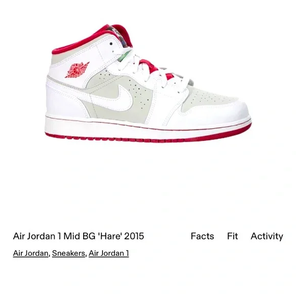 Jordan 1 Retro MidHare Jordan (2015) (GS)